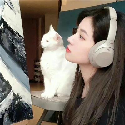 何加加的桃花源记